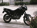 pegaso650 3